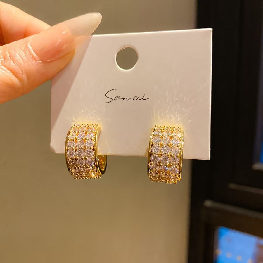 Silver Needle Zircon Ring Earrings