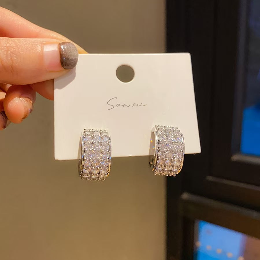 Silver Needle Zircon Ring Earrings