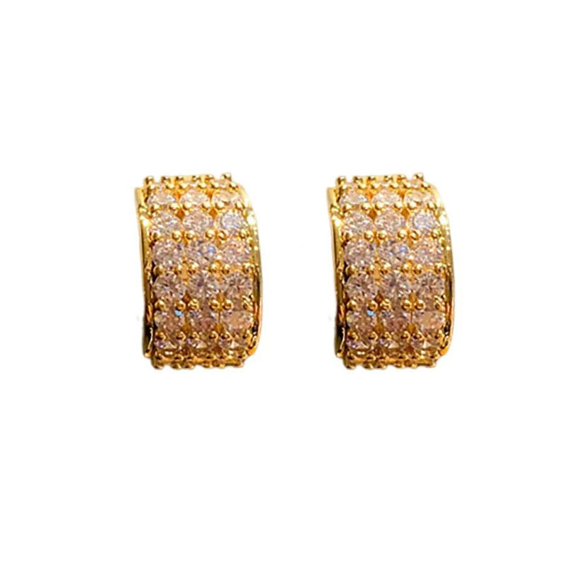 Silver Needle Zircon Ring Earrings