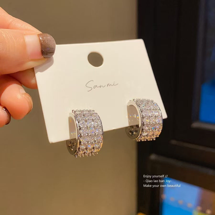 Silver Needle Zircon Ring Earrings